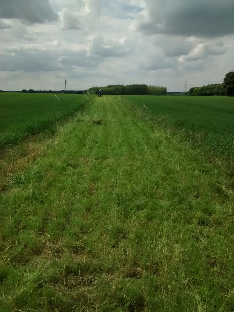 Richard Grayson (@rggeo) on Twitter photo Not quite ready for the <a href="/WRSusAg/">White Rose Sus. Ag.</a> First XI but thanks Martin for mowing the #SoilBioHedge grass leys <a href="/Soil_Security/">Soil Security Team</a> Not quite ready for the <a href="/WRSusAg/">White Rose Sus. Ag.</a> First XI but thanks Martin for mowing the #SoilBioHedge grass leys <a href="/Soil_Security/">Soil Security Team</a>