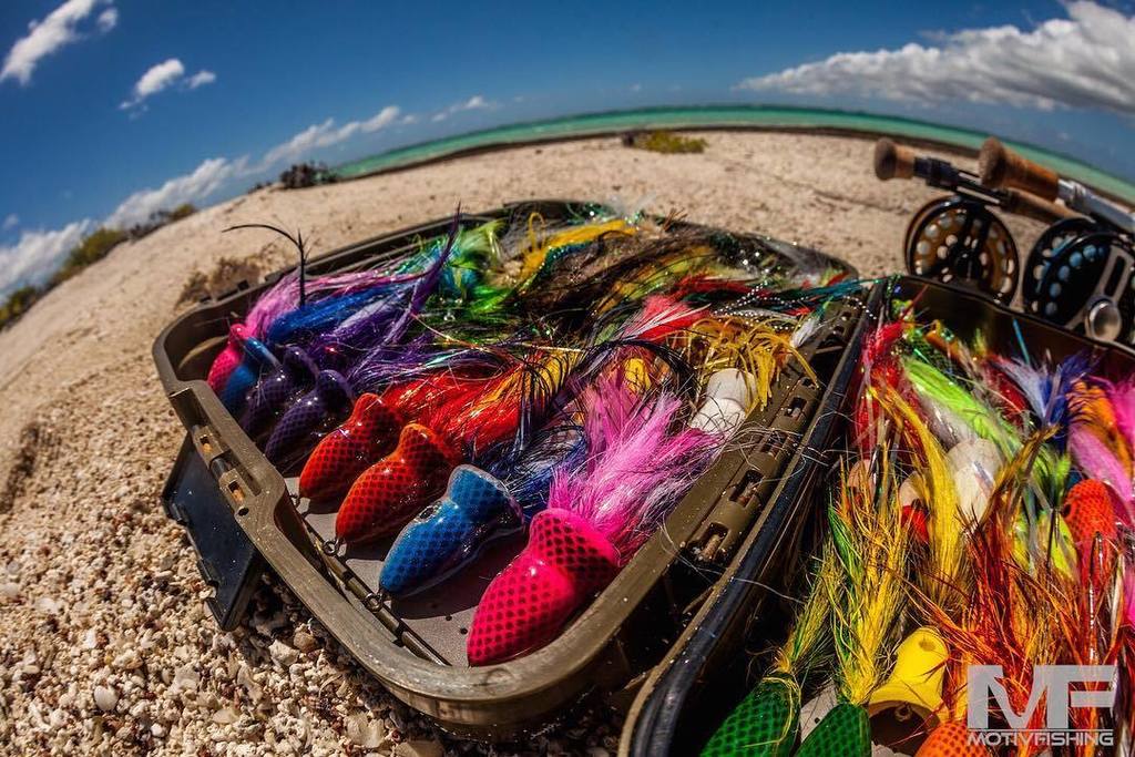 MOTIV FISHING tweet media