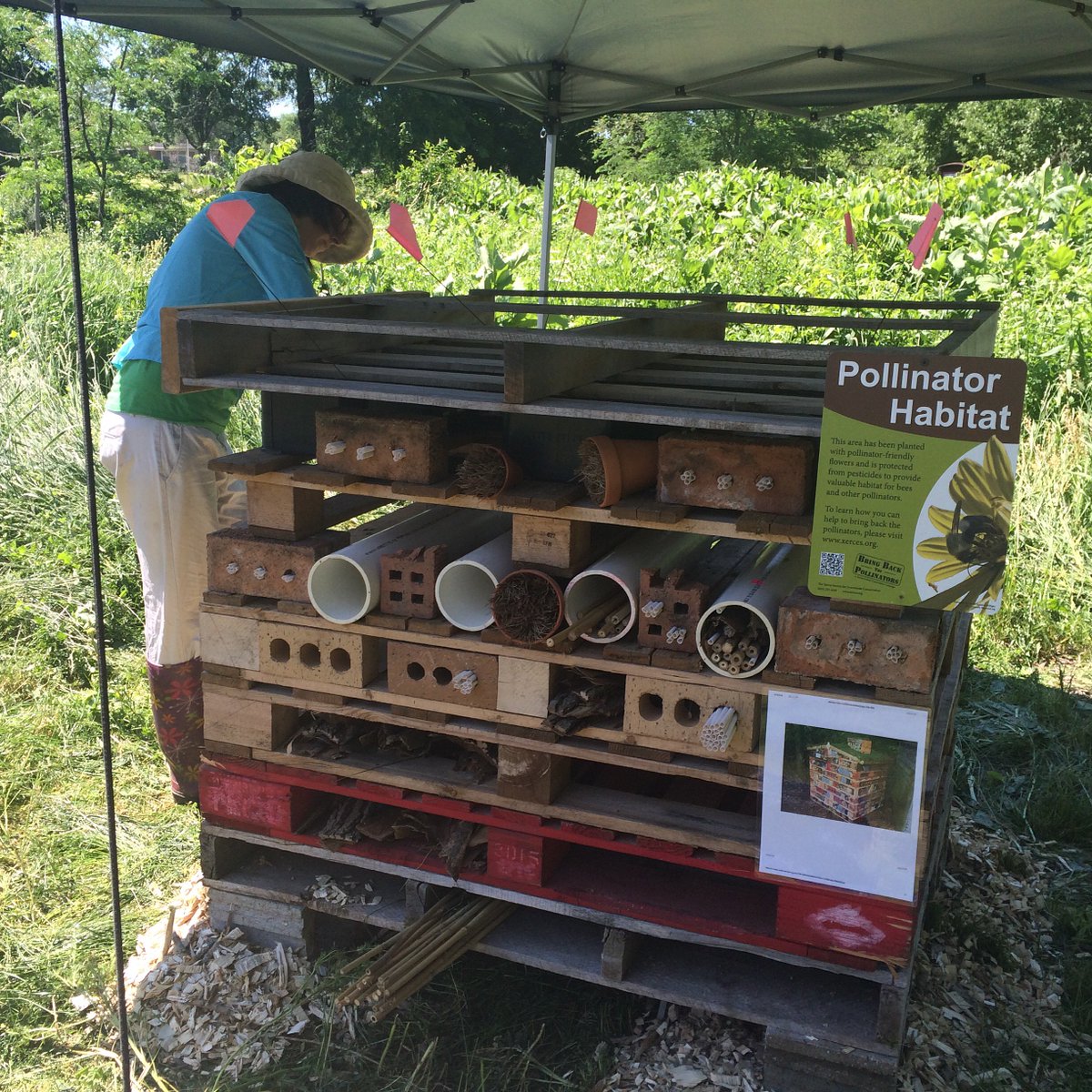 TalesFromTroy's tweet photo. #pollinatorweek2016 Building a bee city! Help us save our #nativebees thru habitat building! https://t.co/BaIm5hki1Z https://t.co/EGFyjmzXoX