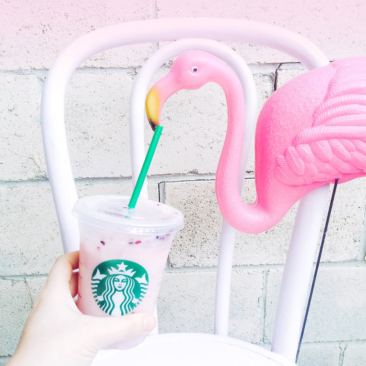 StarbucksCanada's tweet photo. On International Pink Day, we drink pink! Swap water for coconut milk in your Very Berry Hibiscus Refresher. #ProTip https://t.co/rNkGfoLkjJ