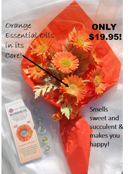 PrettyThingsCom's tweet photo. Who has stressful days at work? Keep these on your desk &amp; inhale when needed! #aromatherapy https://t.co/fE1cf7cHM2 https://t.co/TOHFRovUTb