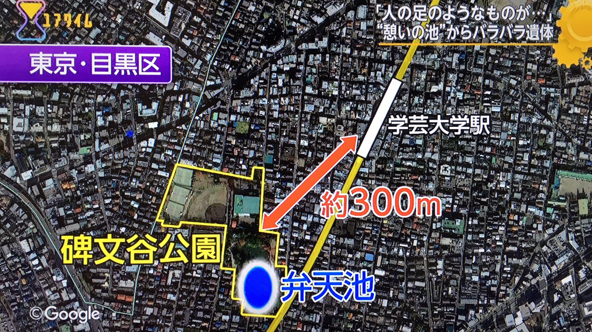 たえ בטוויטר バラバラ死体 怖すぎるよ 東京都目黒区碑文谷６丁目９の目黒区碑文谷公園 犯人捕まるまで 私含め 目黒区の方々 お近くの方 本当に気をつけて 目黒区 碑文谷 碑文谷公園 殺人事件