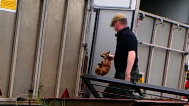 The_House_Fly's tweet photo. Fox Cubs Filmed 'Being Fed To Hounds In Kennels'
 Love to put that guy in a cage of staffs! https://t.co/XkA59YaB32 https://t.co/rhTyw73XH0