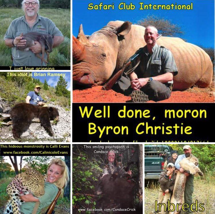 loridowney3's tweet photo. RT @BladeNeon: 
Trophy hunters are vermin. 
Facebook⏩https://t.co/U0iYerJZh6
Blog⏩https://t.co/KNM03JVJ0S https://t.co/MPt0IIou0z