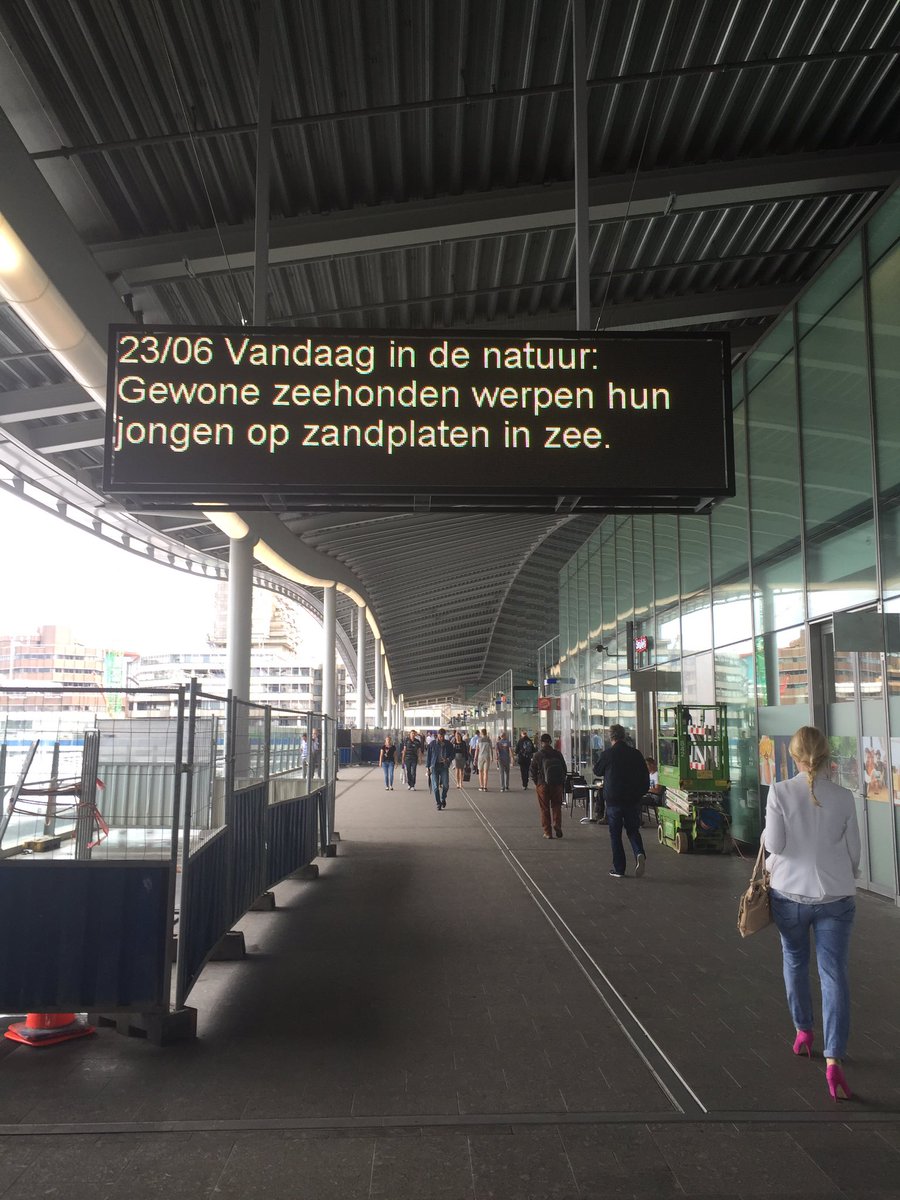 Heidi_B's tweet photo. Hi @CU2030 zo leuk elke dag jullie natuurupdates. Maar wat doen niet-gewone zeehonden met hun jongen? 1/2 https://t.co/fQhtvBXZkw