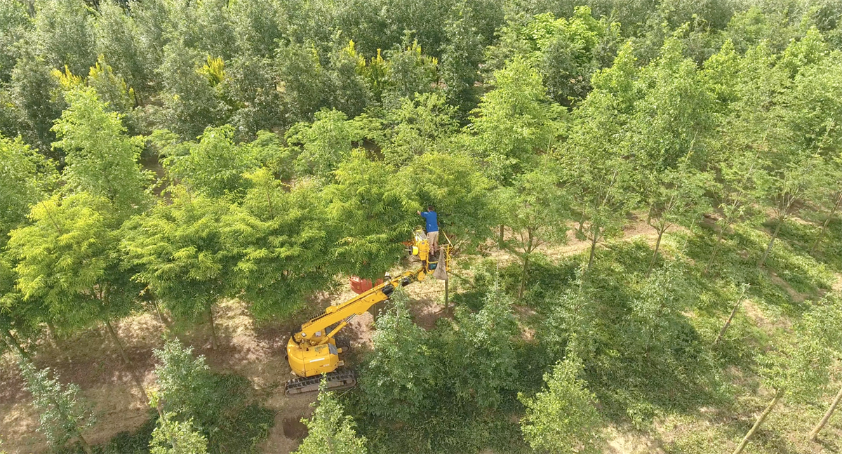 Weer onderweg met Jasper voor de film voor <a href="/EbbenTrees/">Boomkwekerij Ebben</a>. #warmindezon #maarwelmooi!