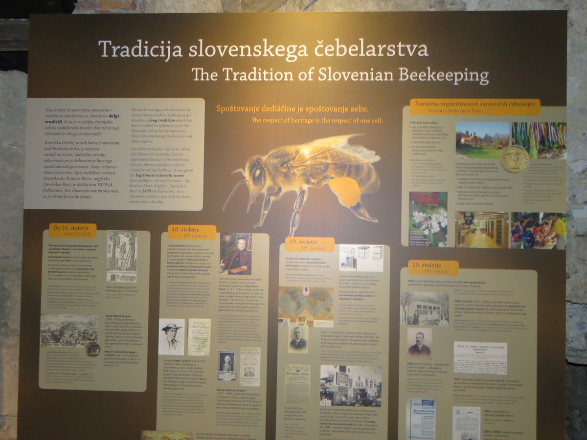 mprhustinx's tweet photo. Ook in #Ljubljana een lange traditie in #beekeeping. De imkers kleedden zich fraai. Iets voor jou, Ingrid? https://t.co/5UXmU9IztT