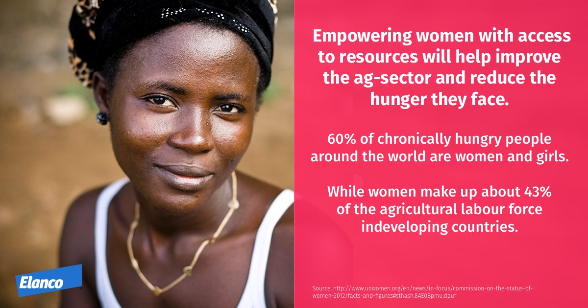 Elanco's tweet photo. What if we empowered women around the world to have access to the right #agresources to end hunger #ThursdayThoughts https://t.co/4n5VYgAR7G