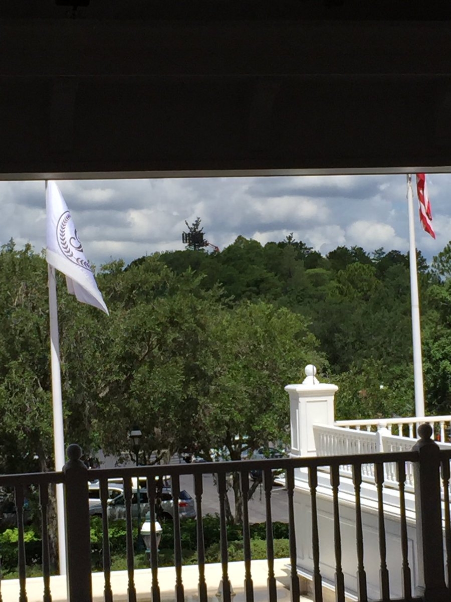 MagicalPassport's tweet photo. When stopped on monorail outside of Disney's Grand Floridian you can spy a cell tower disguised as a tree! #5bars https://t.co/qy93HE8tV2