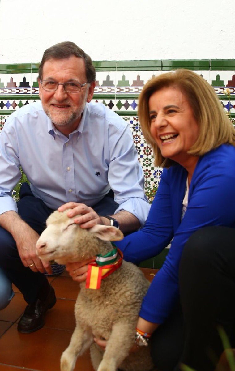 El hilo de Mariano Rajoy - Página 9 ClpWydgWQAAw46F