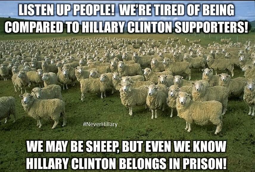 PrdBlckRpblican's tweet photo. I think it's past time for Hillary to go where she belongs, In Prison!! #BenghaziSlaughter #NeverHillary #PeopleDied https://t.co/hJdUrv0nUH