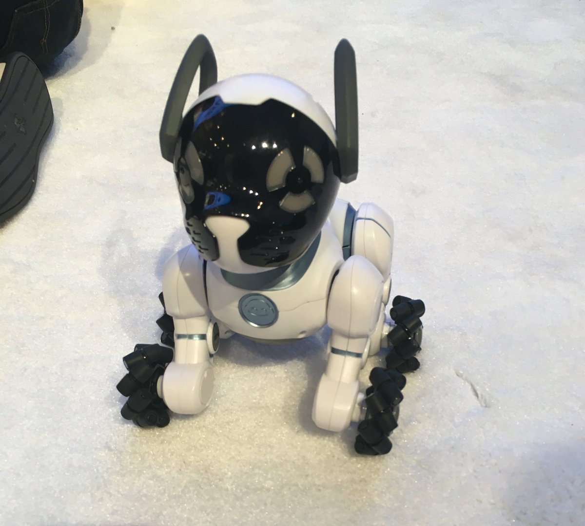 ceweekny's tweet image. Our favorite robot is up next on the #CEWeek2016 demo stage! #chipk9 @WowWeeWorld