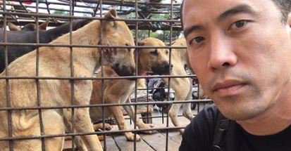 This man has worked to free over 1,000 dogs from the Chinese dog-meat industry. orv.is/28SEvij #dogs
