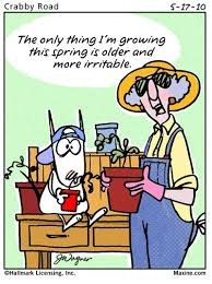 ThinkBigGoLocal's tweet image. Hahaha #aginghumor