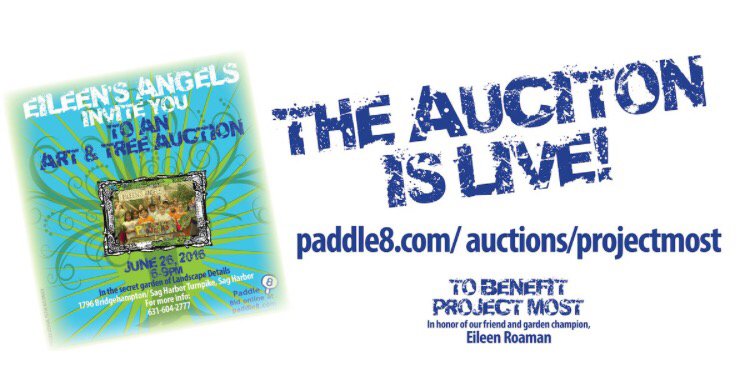 ProjectMOST tweet media