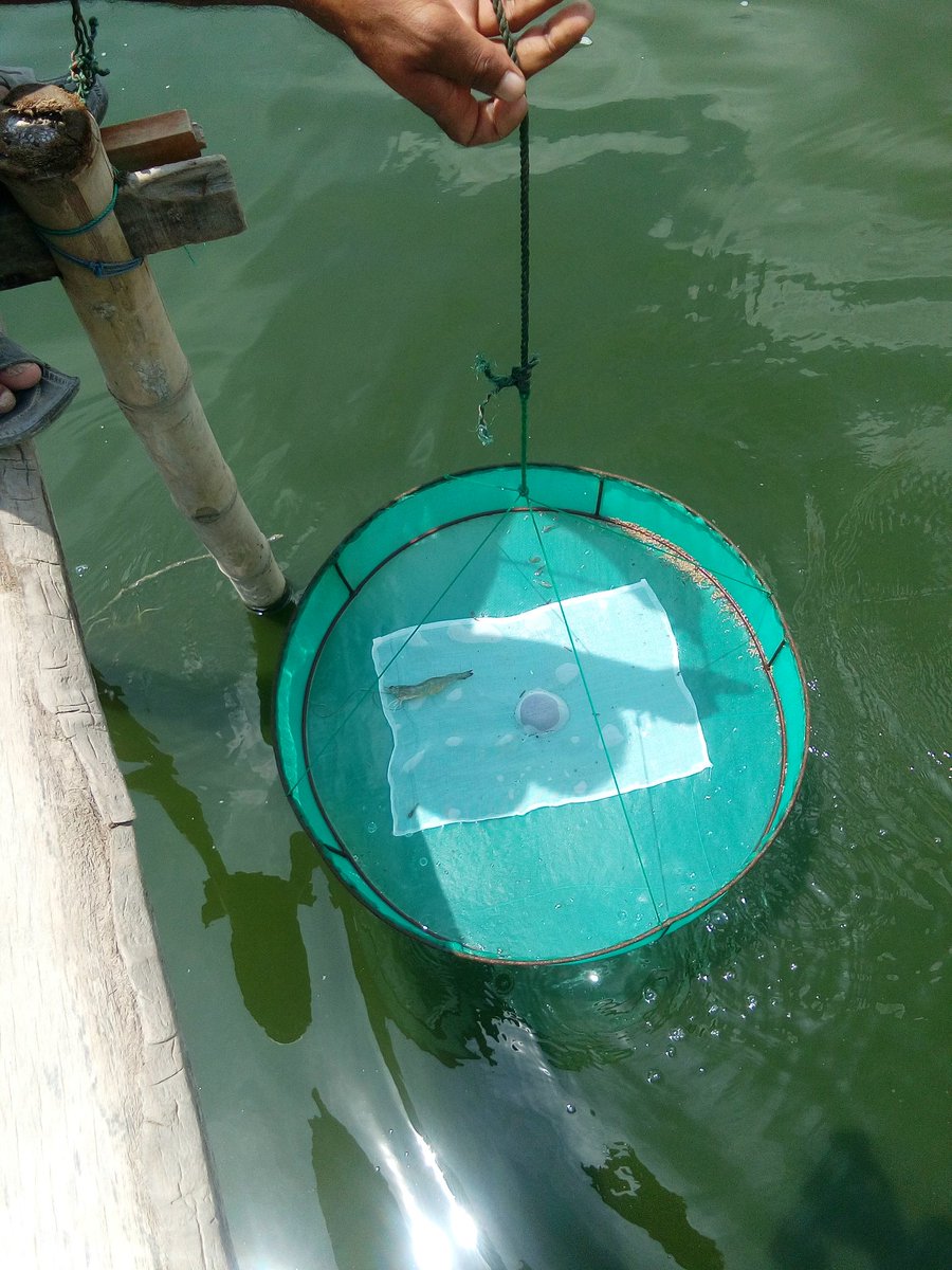 Anjang karya petani ie rhob, saming vaname dan cek keringgian air
<a href="/bpsdmpkp/">BPSDMPKP</a> <a href="/kkpgoid/">KKP RI</a> @PPBPUSLUHDAYAKP @pusluhdayakp