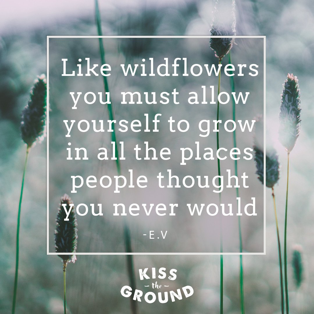 kissthegroundCA's tweet photo. 🌾We are alive...We are nature🌾 https://t.co/S19BGyL7Re