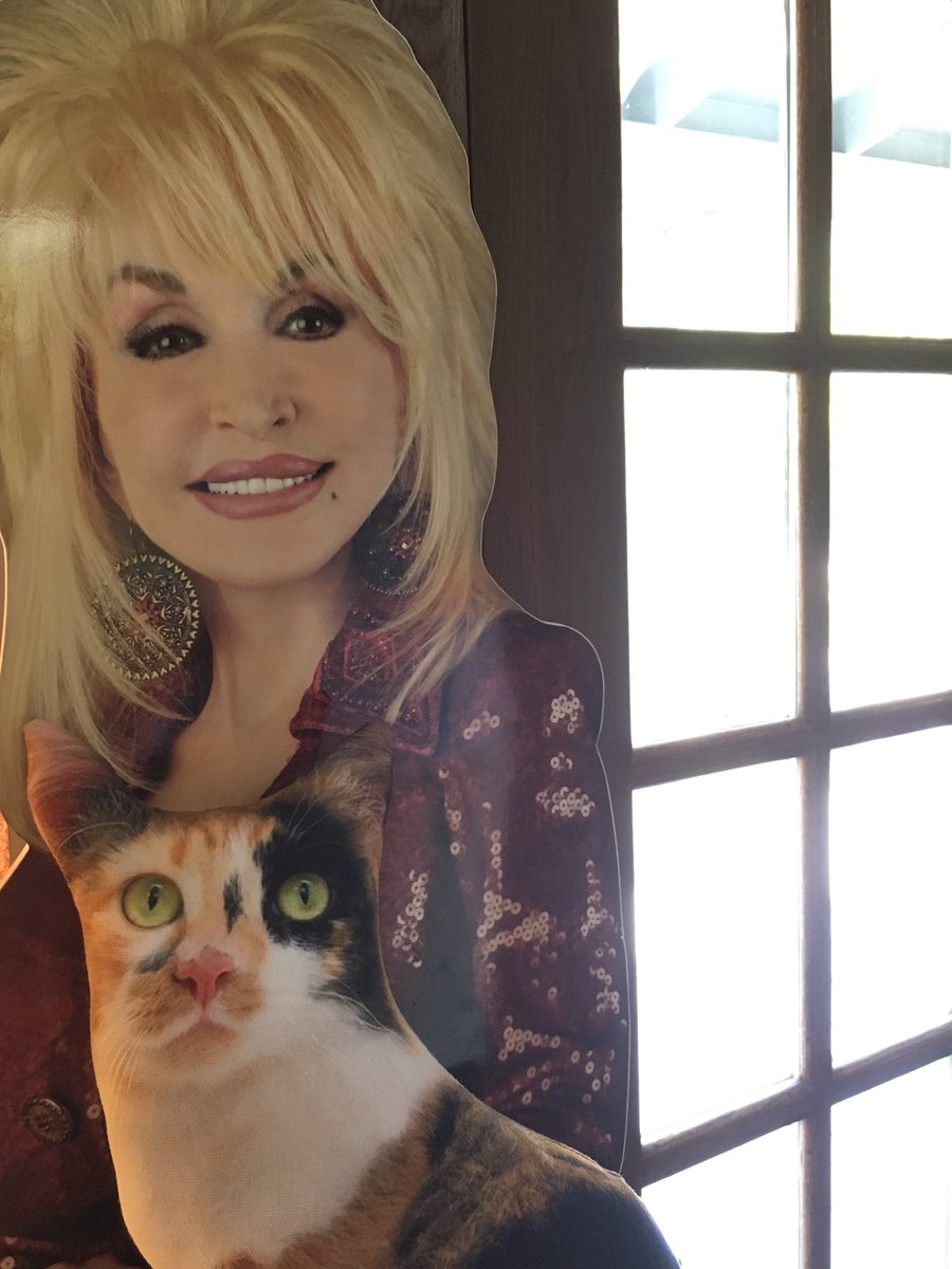 realkittypillow's tweet photo. OMG!!!!!! #Tennessee #dollypartonismyhero https://t.co/FksfCNgVDB