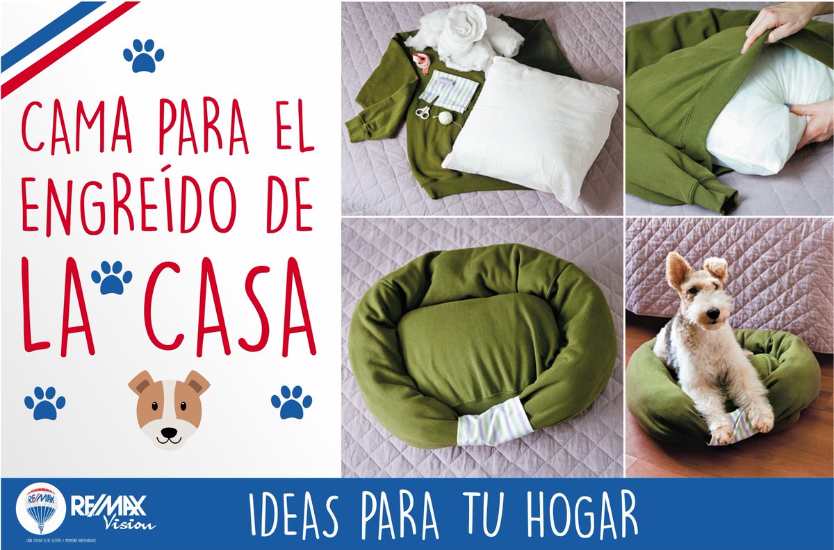 RemaxVisionPeru's tweet photo. Hoy te traemos una linda idea para tu mascota. #REMAX #remax #Perú #Dog #Pet #Love https://t.co/YeZehfYW4w
