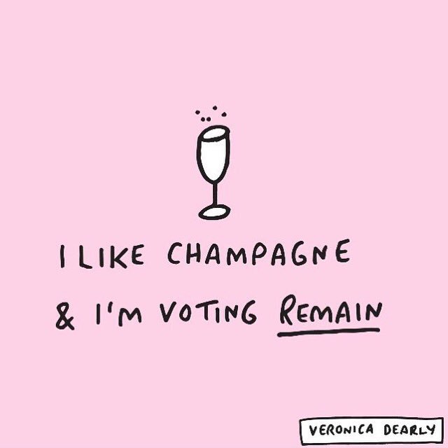 veronicadearly's tweet image. Yup. #VoteRemain #EUref #howdoeuknow