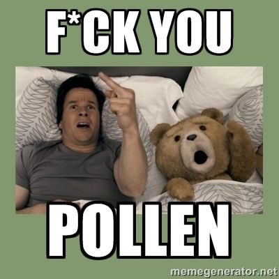 LC90_'s tweet photo. Ok pollen, you win..I've had enough, please go away...😷💐🌾 #HayfeverProblems #AllergicToSpring https://t.co/Cx10HPZ5VV