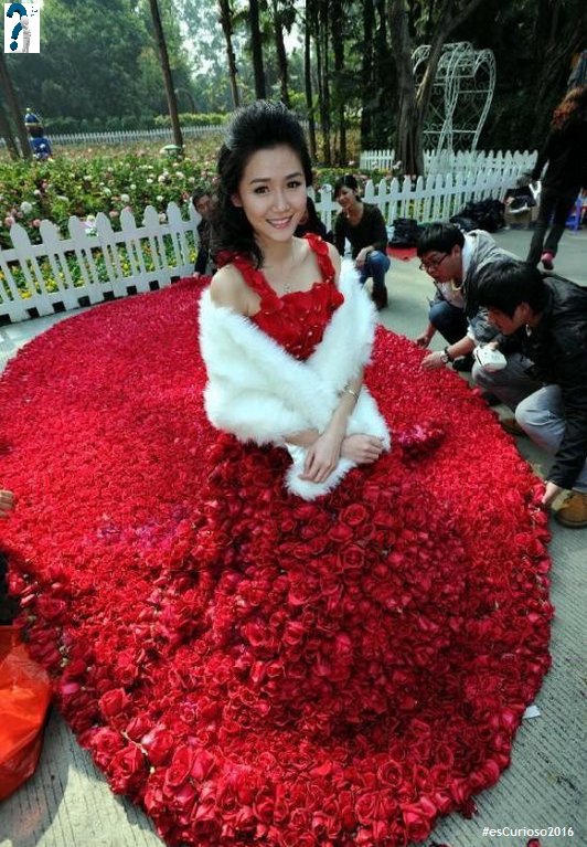 esCurioso14's tweet photo. Un chino hizo un vestido a su novia de 9999 rosas y le propuso matrimonio. El nº9 en China significa ‘para siempre’ https://t.co/jAU2FIuZvc