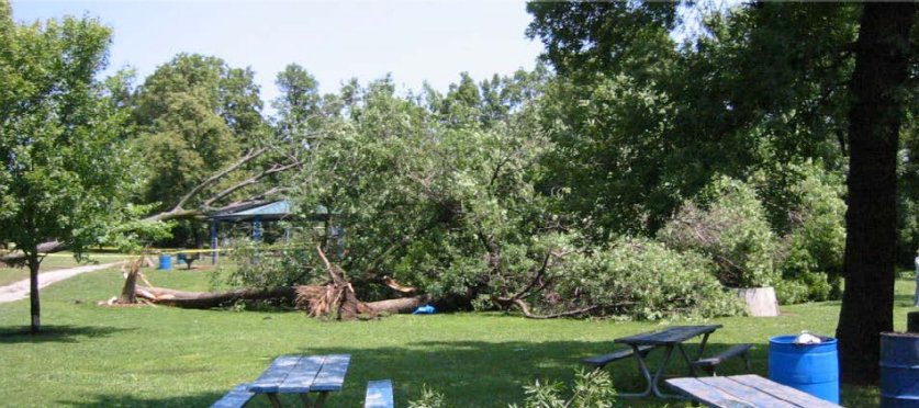 PurdueFNR's tweet photo. What to do with storm damaged trees-Trees and #Storms https://t.co/oFA9asrbc3 @PurdueExtension https://t.co/MK5ymDcFkj
