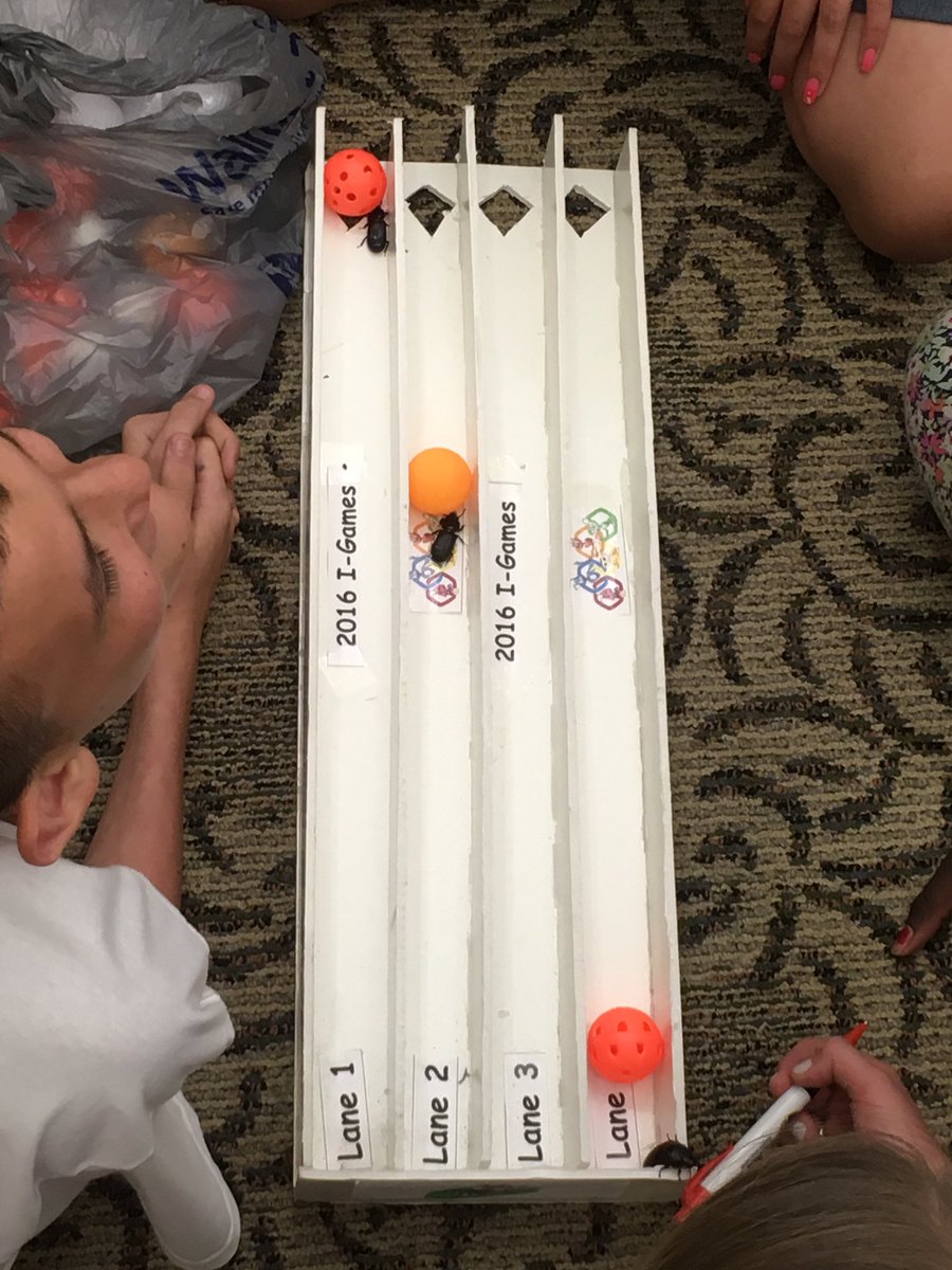 Kelly Lusk tweet media