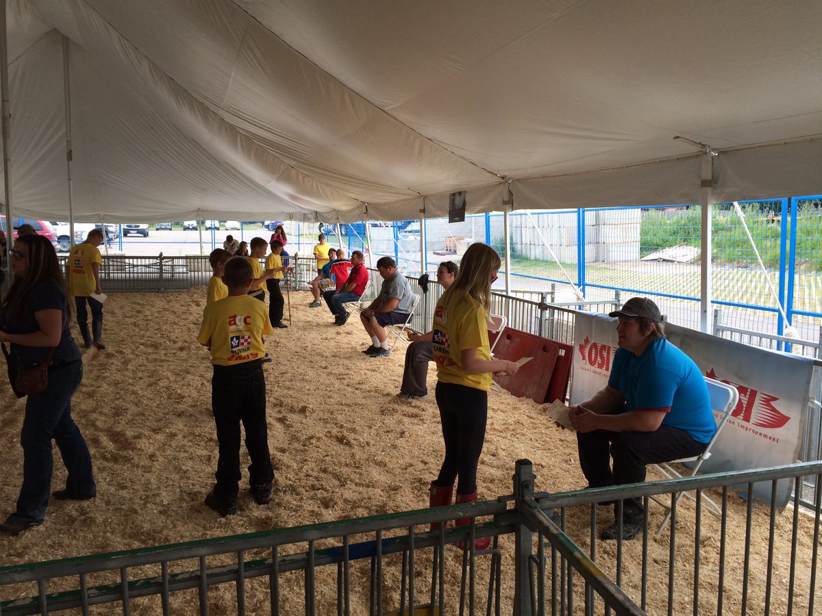 drewdebruyn's tweet image. Lunch time judging &amp;amp; giving reasons on class of market hogs #BaconMaker Classic @OntPorkCongress #opc16