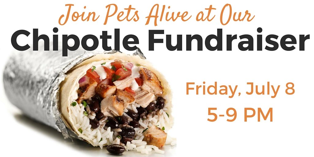 PetsAliveIN's tweet photo. Join us at the Kirkwood #Chipotle on July 8 for dinner &amp; they'll donate 50% of your bill! https://t.co/oef755NVms https://t.co/C357nFttkO
