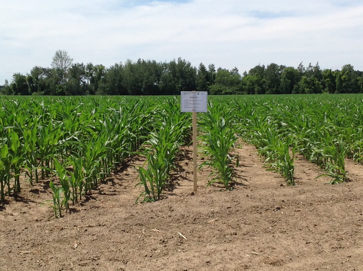HT_Precision's tweet photo. Special tks to Julia from @DeveronUAS for flying our @HT_Precision @HuronTractorLtd Demo Plot today #muchappreciated https://t.co/aAFszwvVEe
