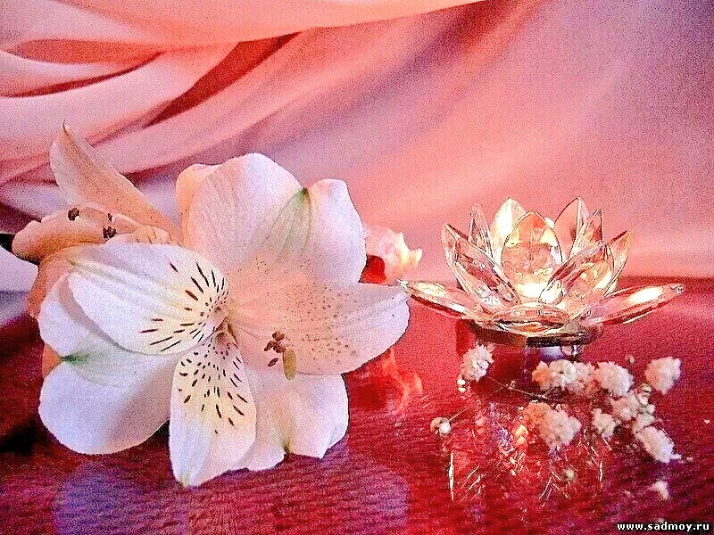 Einen schönen Abend wünsche ich euch meine lieben Twitter Freunde .