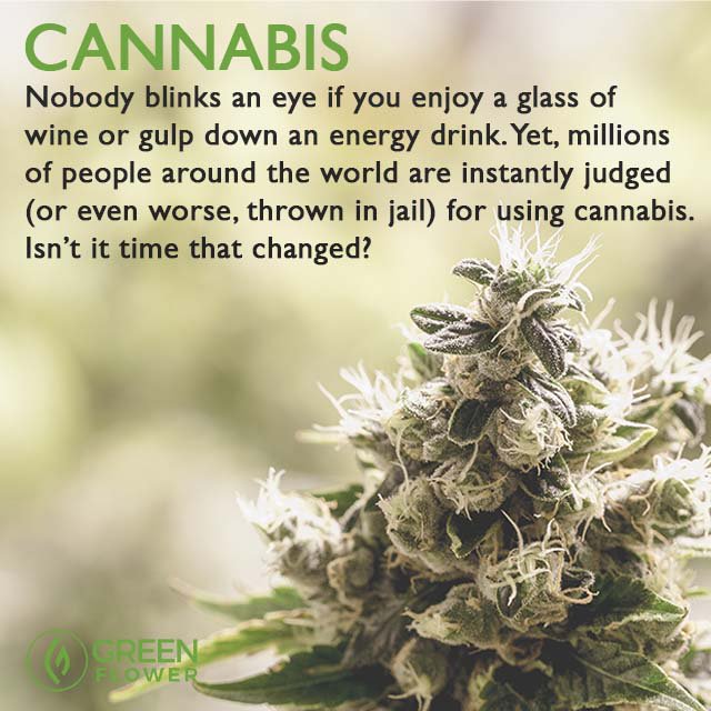 greenflwrmedia's tweet photo. Truth. https://t.co/c982HI4rHn