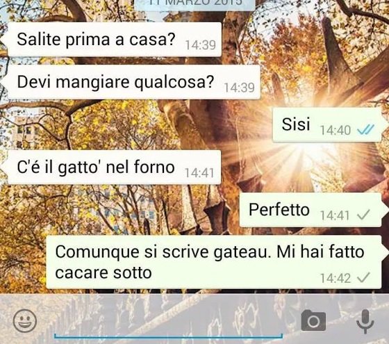 bizzlerauhlollg's tweet photo. 'Genitori e Whatsapp'

"c'è il gatto nel forno" https://t.co/VLTJgTWpU3