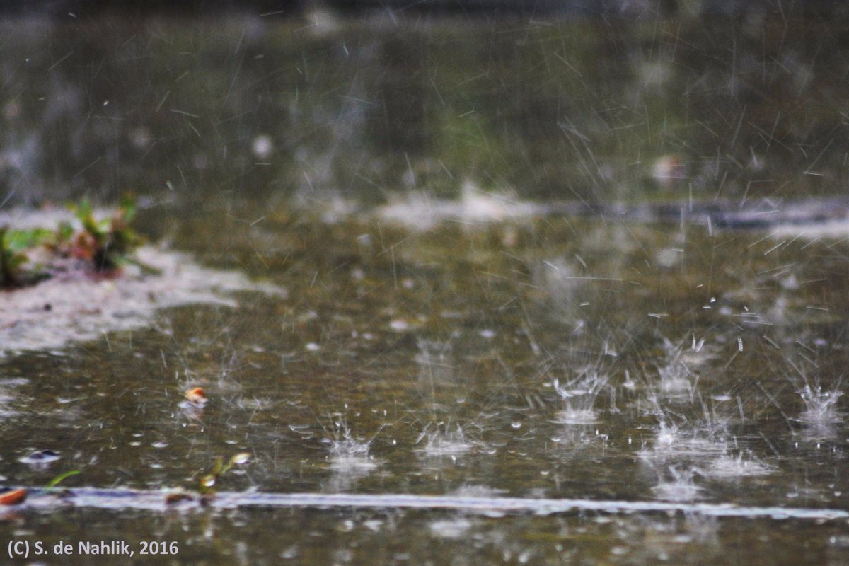 serenadn's tweet image. We're at @UKWorlds and it's raining. #wugc2016 #lighteningstrike #bangbangbangboom