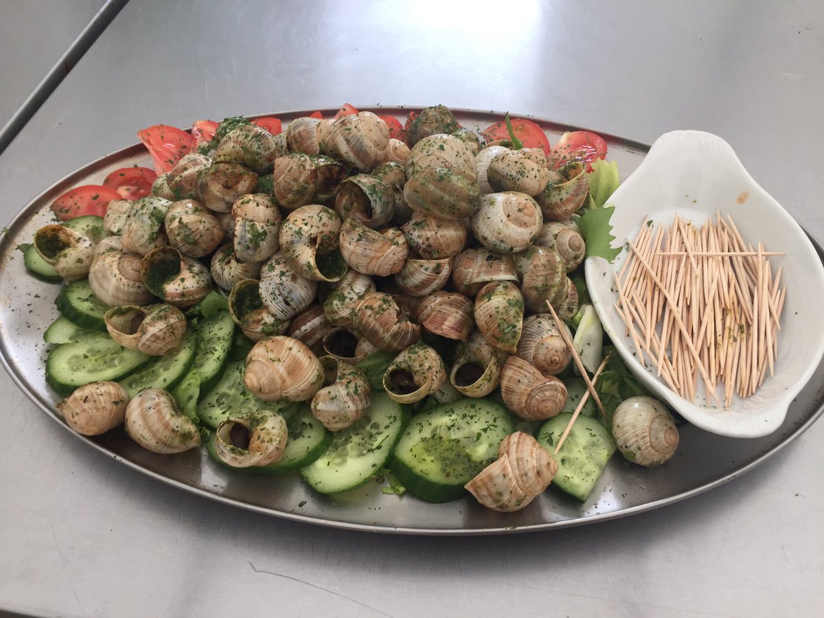BA__Sport's tweet photo. Anyone for snails? 🐌 #opalcoast2016 https://t.co/bBoyrmyXhn