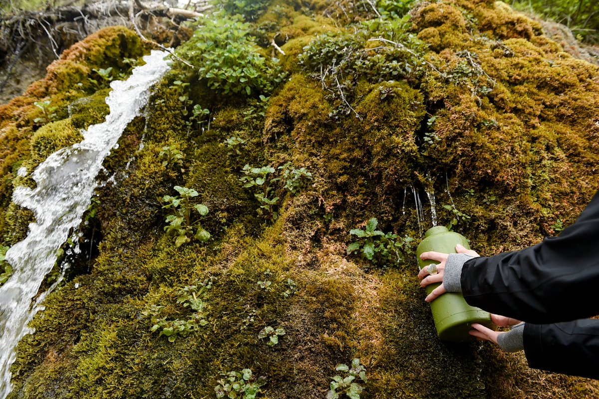 thom_g_bridge's tweet image. A long float through paradise, in photos: goo.gl/NcTxDT | #SmithRiver  #MTNews #MTOutdoors