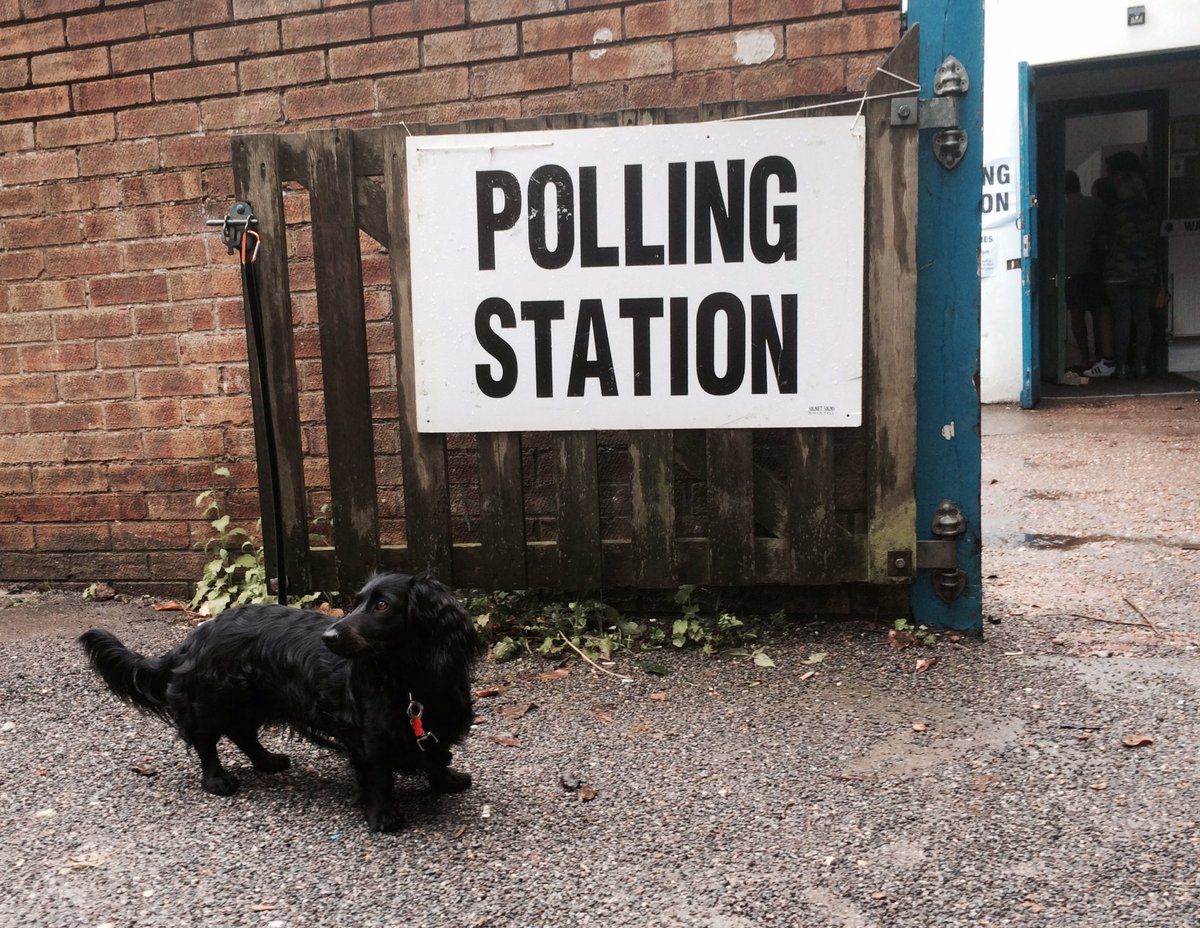#dogsatpollingstations