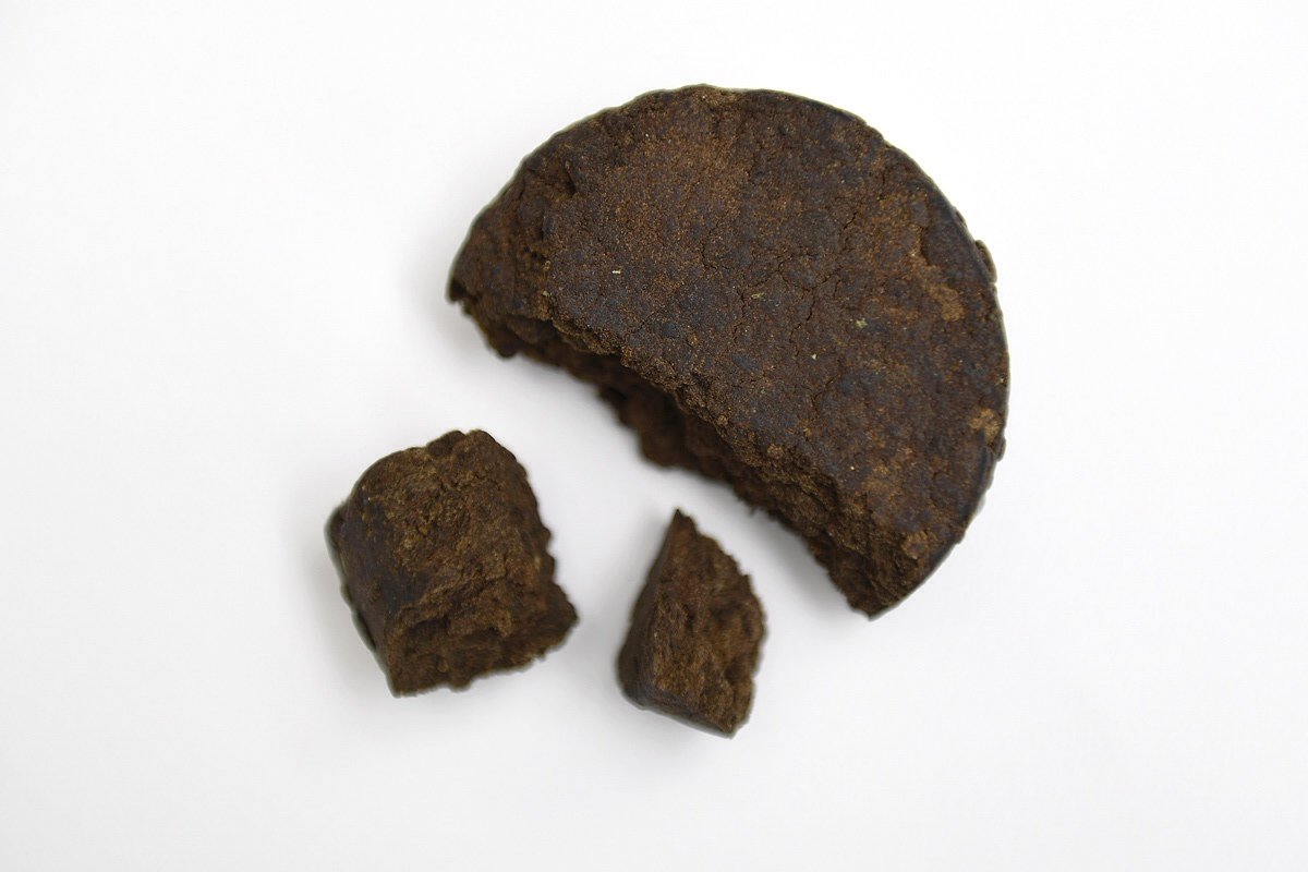#hash or hockey puck? #sandiego #prop215 #puttingthehashinhashtag