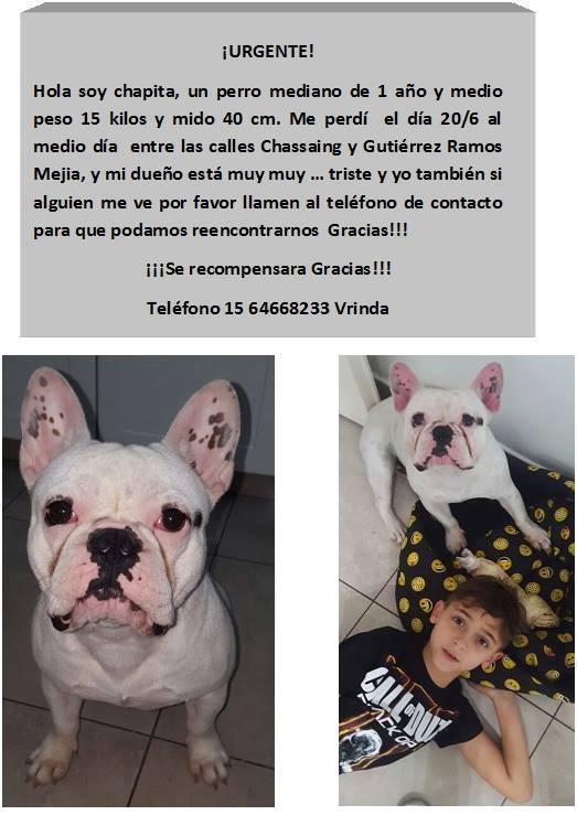 sandrachazelle's tweet image. Difundir! @radiomitre @ComunidadMitre @redmascotera @proyectogalgoar @Proyecto4Patas