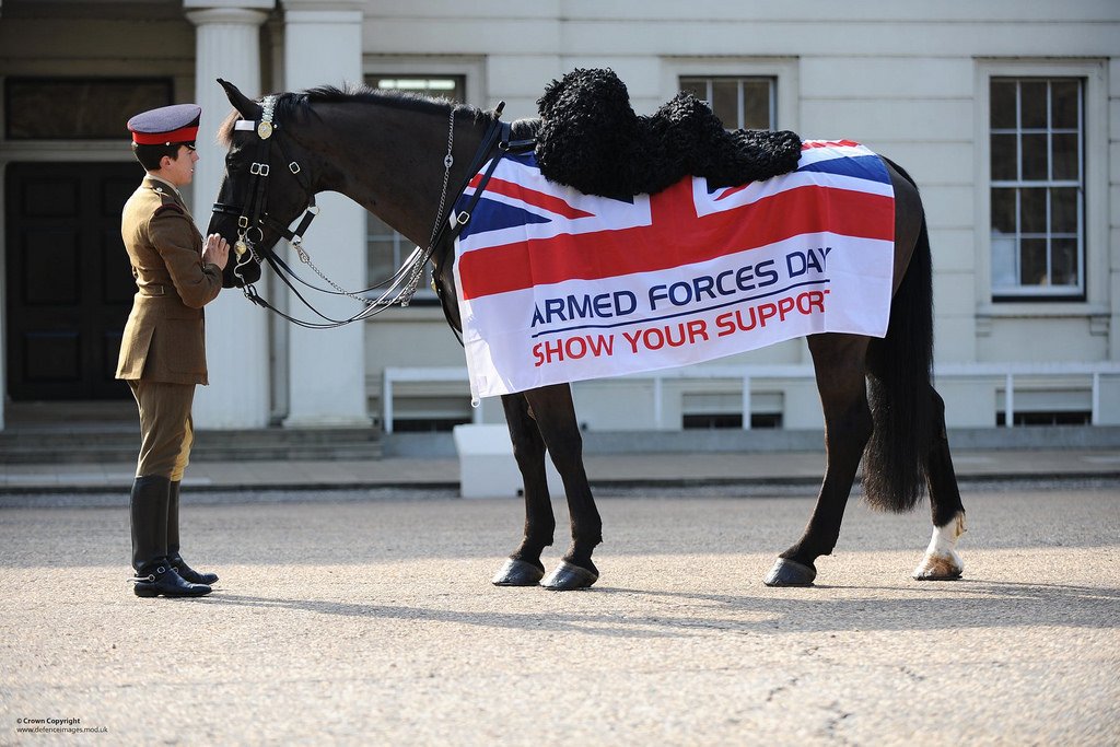 Household Cavalry NW (@hcav_nwandyorks) on Twitter photo 