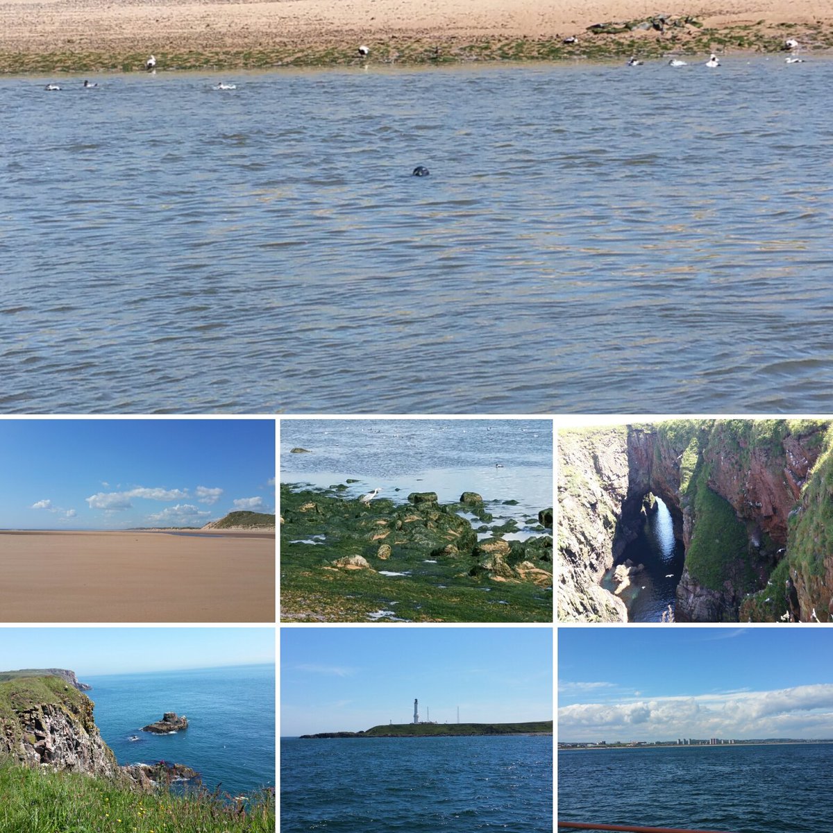 FionaD716's tweet photo. Thank you @Grampian_Coast &amp; @ClydeCruises for a great tour today #knowyourcoast  #beautifulABDN https://t.co/zsFwq8zp0s