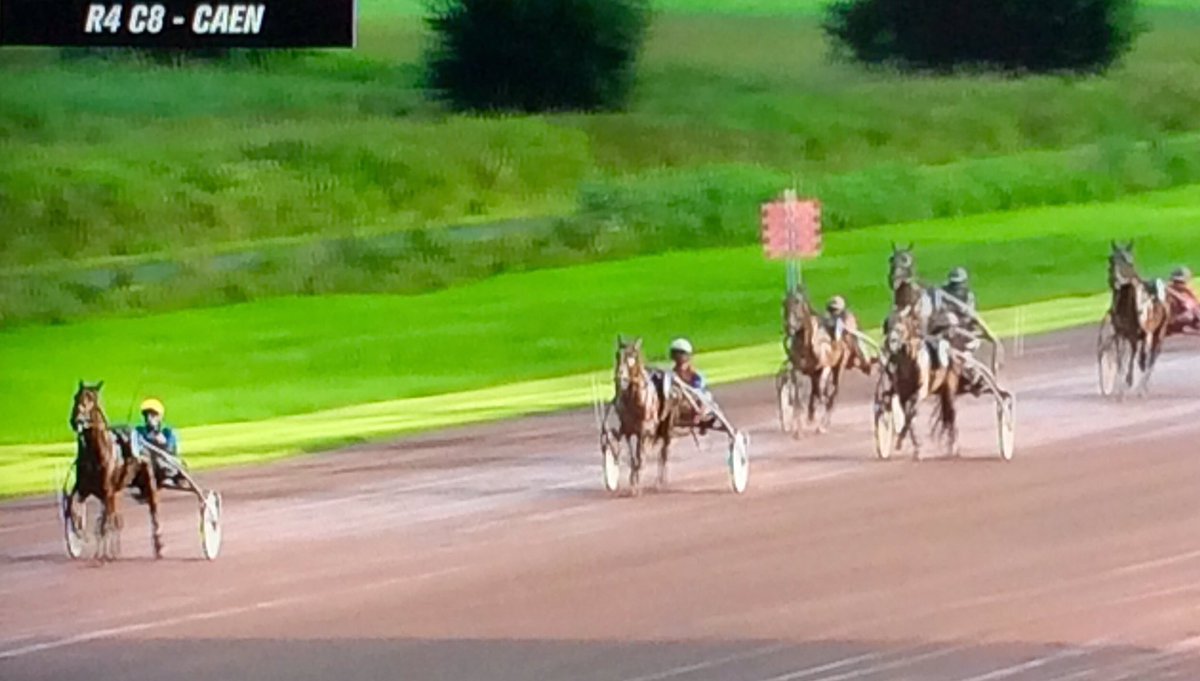 HarasBouttemont's tweet photo. #ReadyCash #DaddyCash s'est montré enfin sage et gagne à Caen le Px de la Haye-Pesnel en 1'15"6. https://t.co/nSVaEAmYON