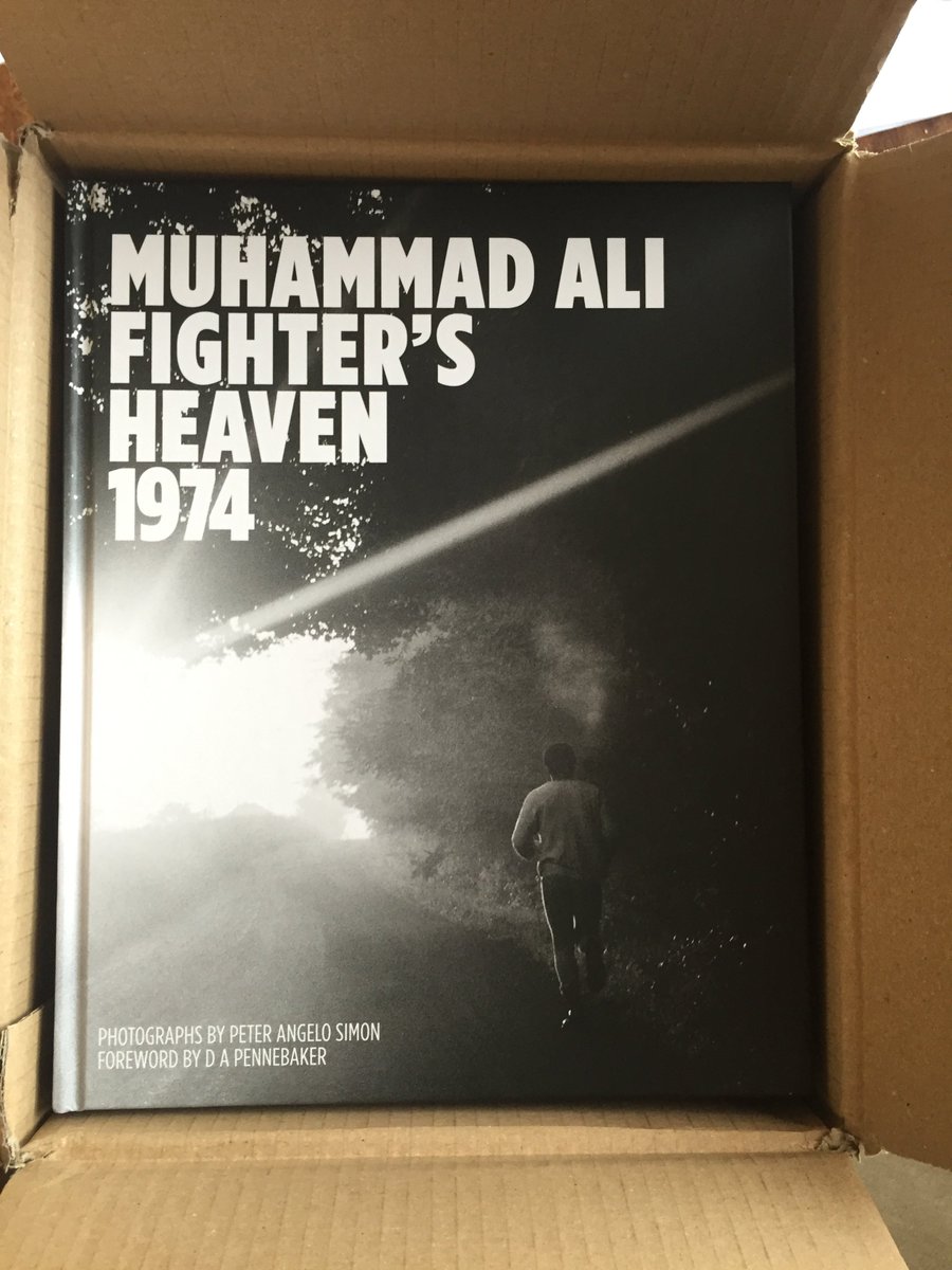 PeterAngeloSim1's tweet image. I just received the very first picture of my new book from @ReelArtPress. Feeling like a proud parent!