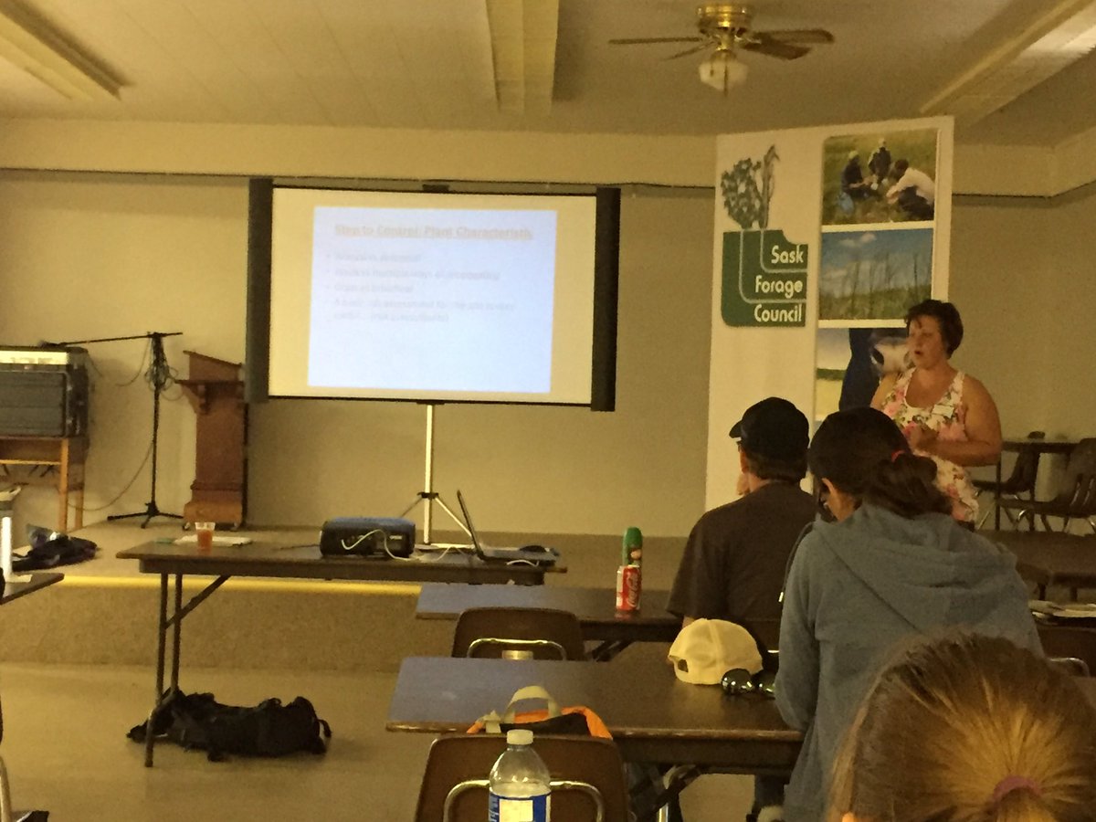 saskforage's tweet image. Julie MacKenzie explains weed control options in perennial forage. #ForagesInTheField