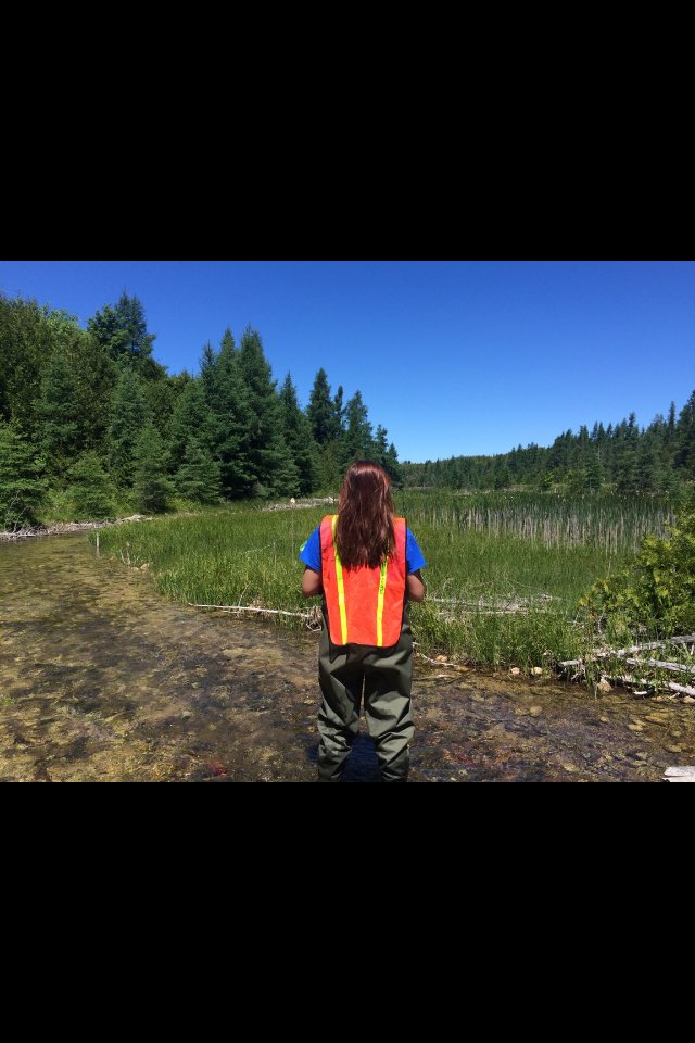 TUCanada1's tweet photo. Ontario's crew setting temp. loggers in Armstrong Creek. It's great to see the progress made over the last few years https://t.co/lmPBq1Tql5