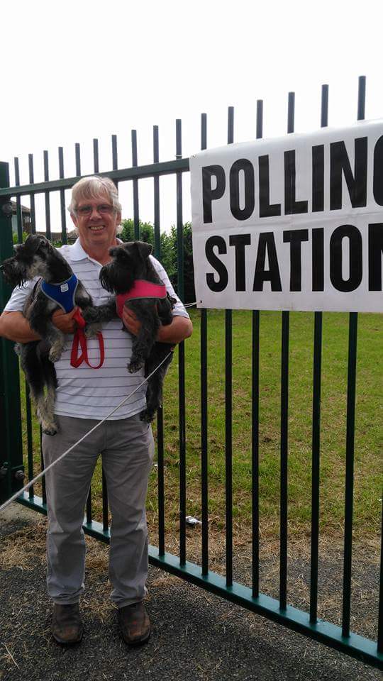 sfsquires's tweet image. #dogsatpollingstations had to lift them sign was too high