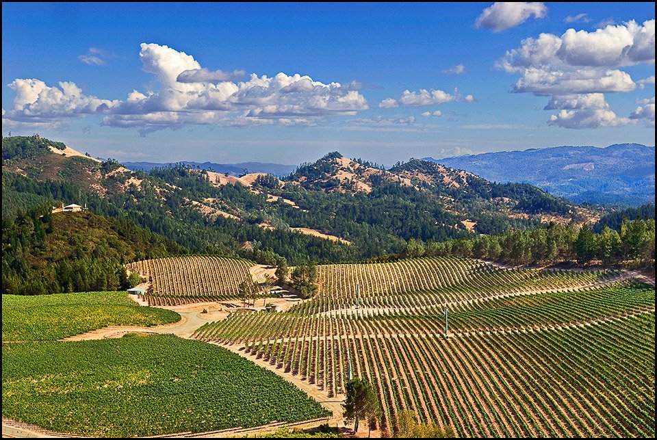 The Ultimate Getaway and Escapade for Wine Lovers
to Mendocino Wine Country ow.ly/JEY0301yfhp