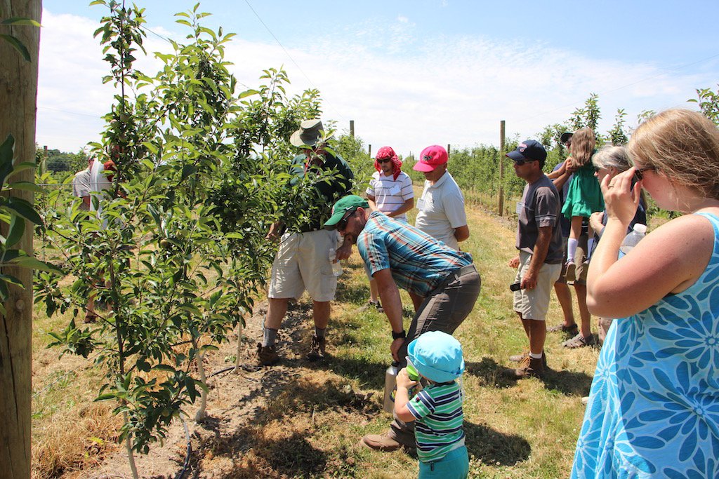 catie_noyes's tweet photo. Yesterday was a great day for an #Orchard tour w/ #OPGMA at Quarry Hill Orchards. More here: https://t.co/OweVU6ONXK https://t.co/YdetOI2oUN
