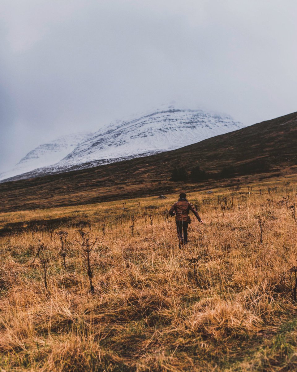 joe_shutter's tweet photo. #tbt to running through fields at break neck speed #Iceland #photographer #photography #blogger https://t.co/7PPpK6X2pH